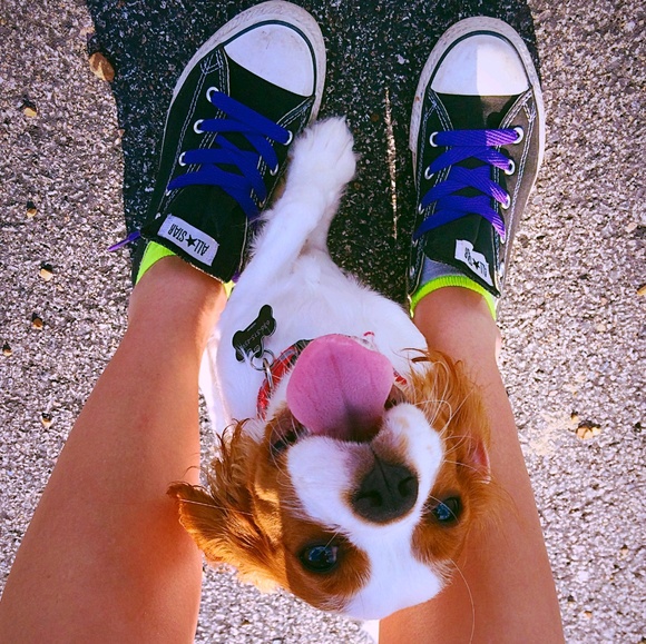 Meet your Posher, Brylee - Picture 1 of 1